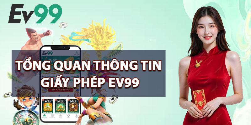 Tổng Quan Thông Tin Giấy Phép EV99